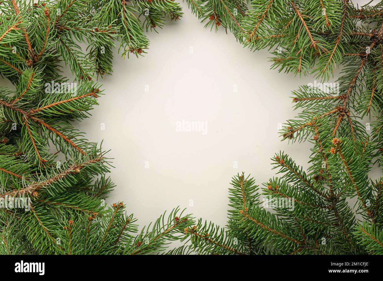 Frame made of Christmas branches on white background Stock Photo - Alamy