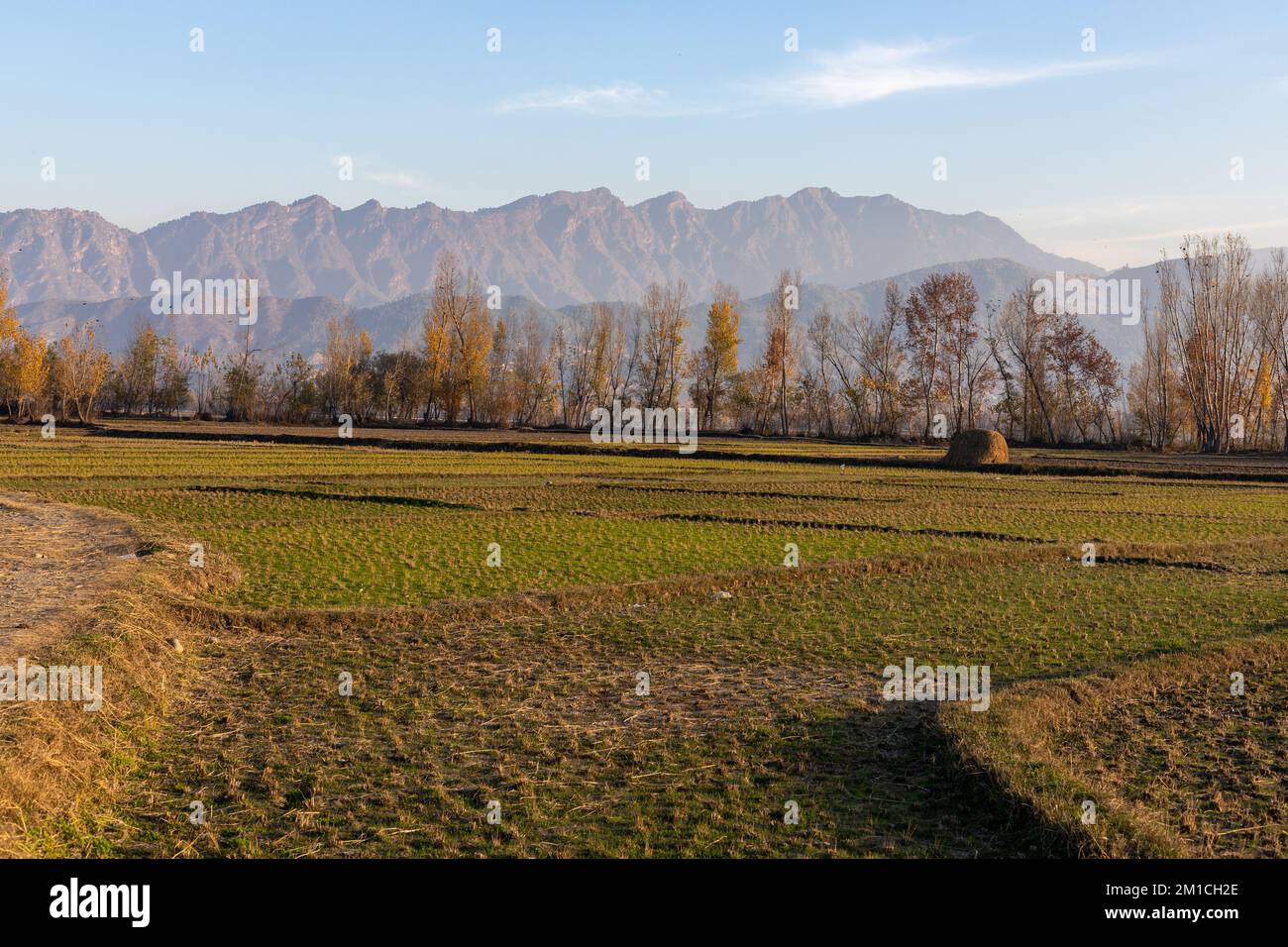 Arid wheat fields after harvest hi-res stock photography and images - Alamy