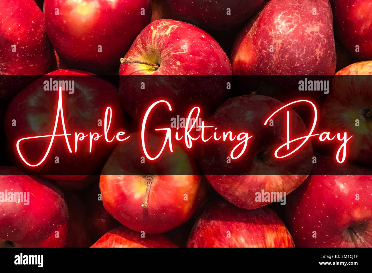 Apple Gifting Day is celebrated every year on January 1 Stock Photo Alamy