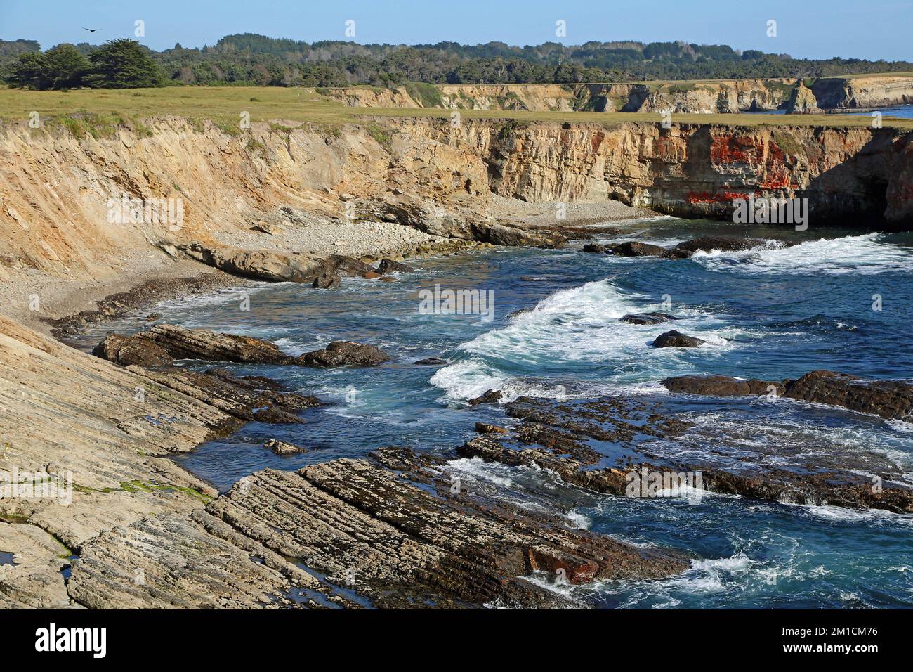 The beach of Point Arena California Stock Photo Alamy
