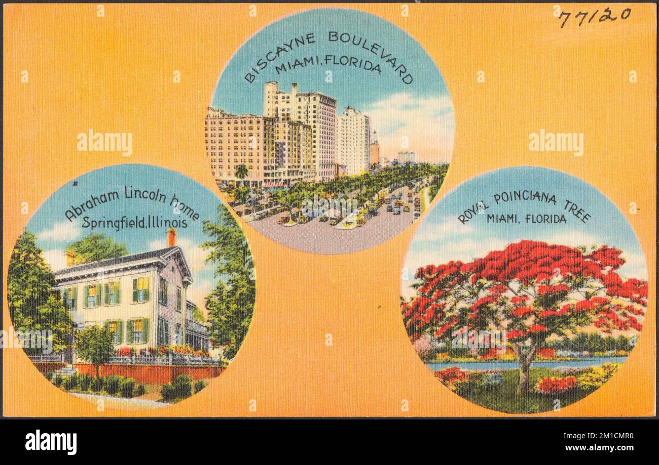 Biscayne Boulevard, Miami, Florida. Abraham Lincoln home, Springfield, Illinois. Royal Poinciana tree, Miami, Florida , Cities & towns, Historic buildings, Streets, Tichnor Brothers Collection, postcards of the United States Stock Photo