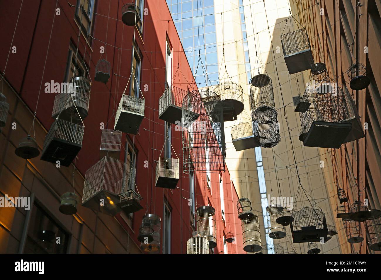 Hanging bird cages songs Sydney, Australia Stock Photo