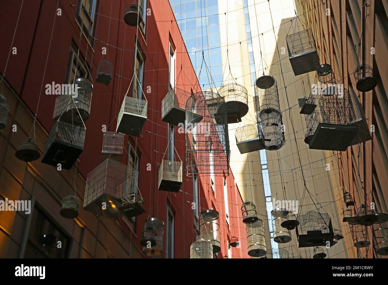 Hanging bird cages - Forgotten songs - Sydney, Australia Stock Photo
