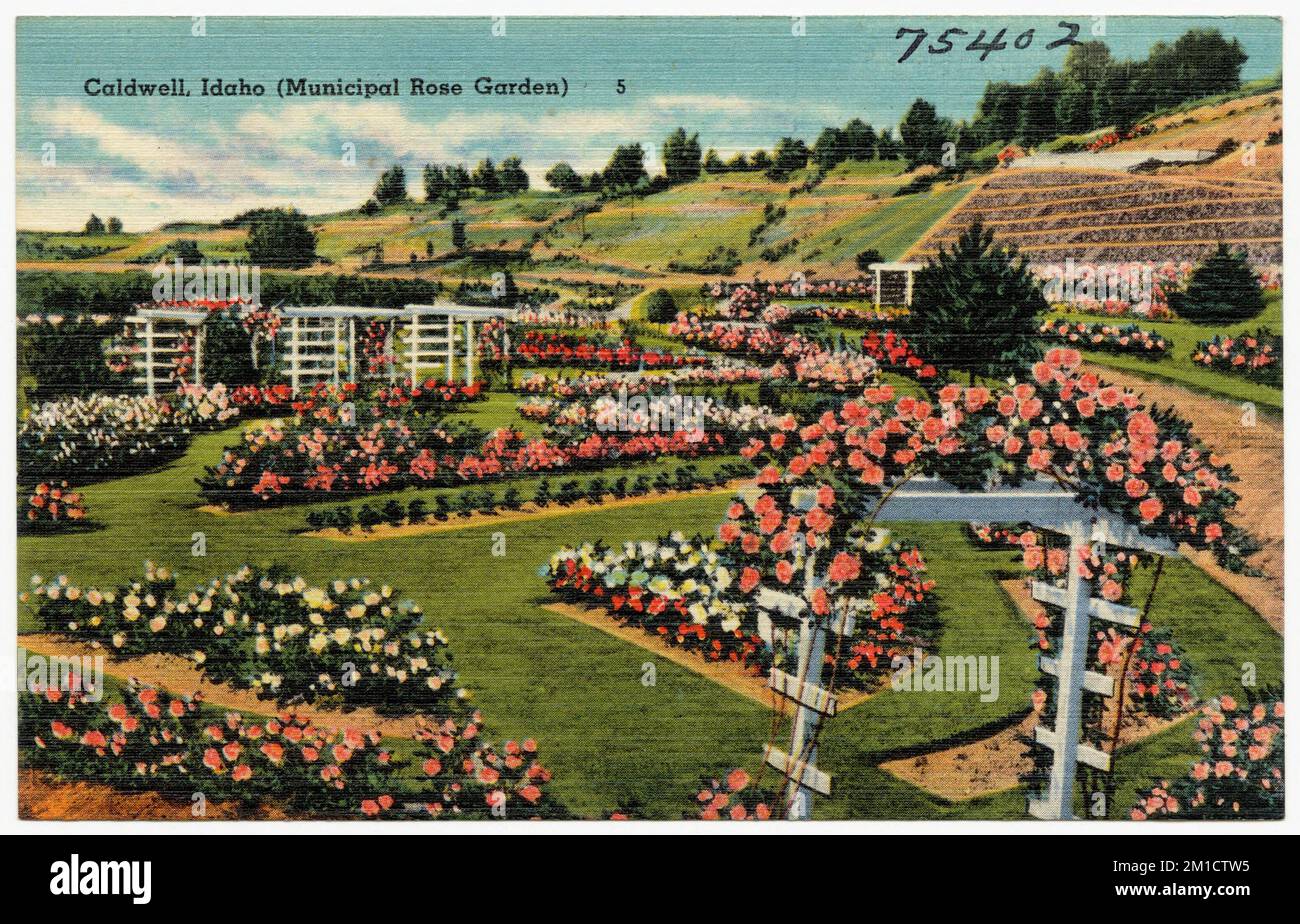 Caldwell, Idaho (Municipal Rose Garden) , Parks, Tichnor Brothers Collection, postcards of the United States Stock Photo