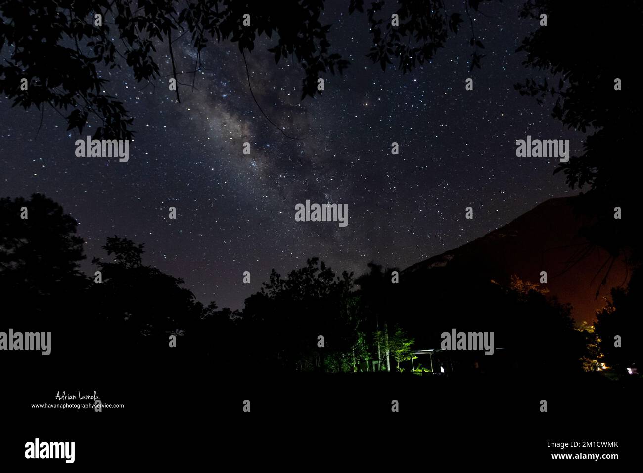 A beautiful vista starry night sky over silhouette trees in the park Stock Photo