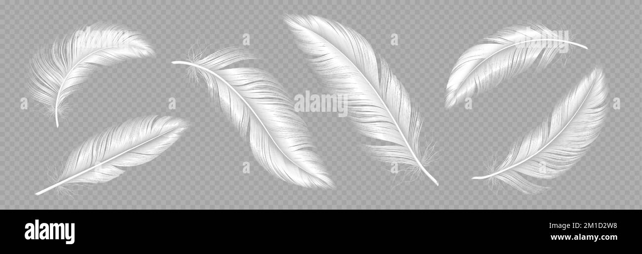 White soft feathers, bird plumage isolated on transparent background. Flying fluffy quills of angel, goose, swan or dove. Lightweight plumes set, vector realistic illustration Stock Vector