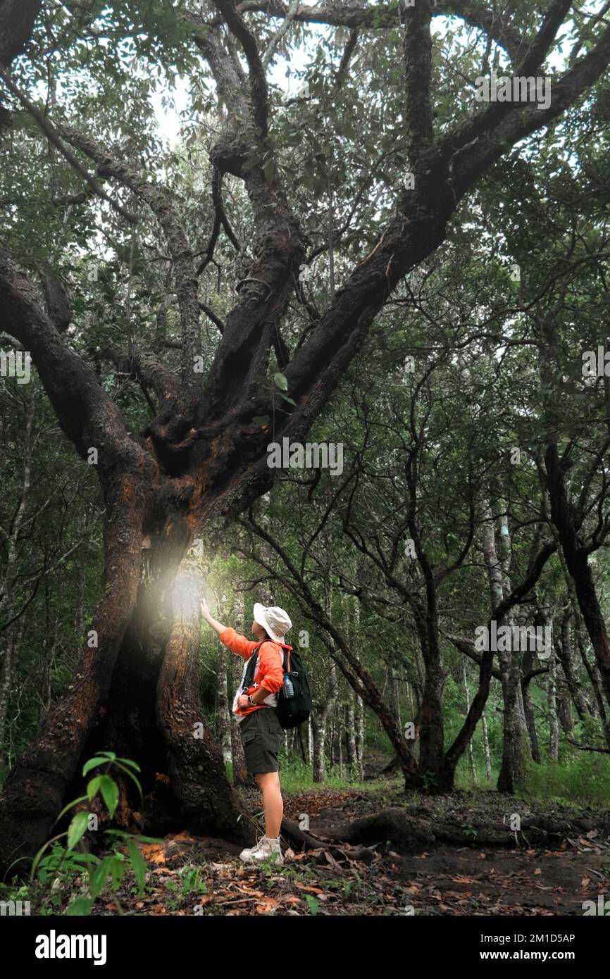 Female ecologist studying plants in the forest touching the trunk with hands. Female environmental scientist exploring plants in the rainforest. Botan Stock Photo
