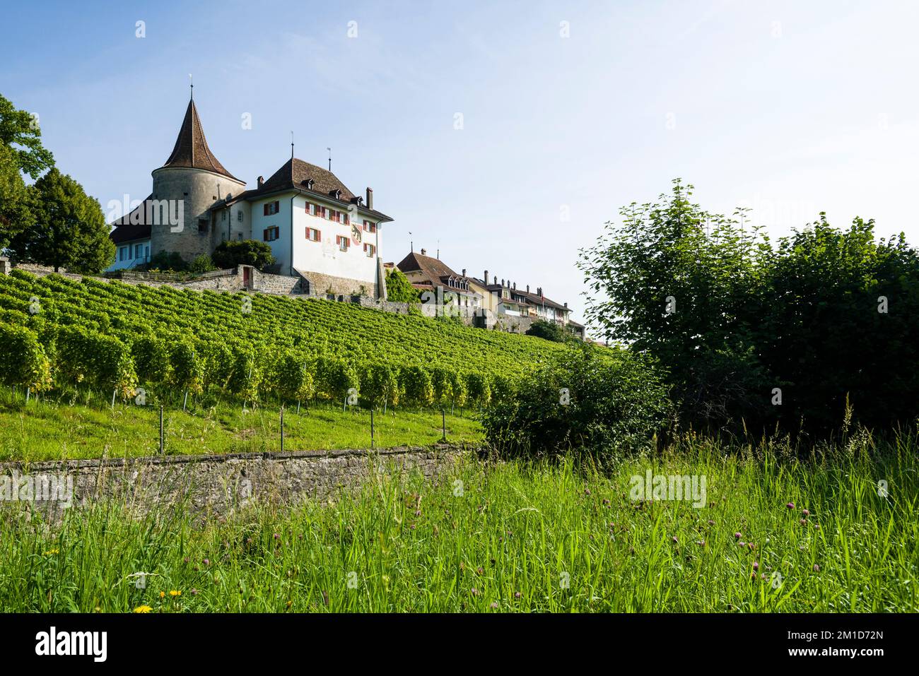 The Erlach Castle is located on a hill and surrounded by wine yards, overlooking the Lake Biel Stock Photo