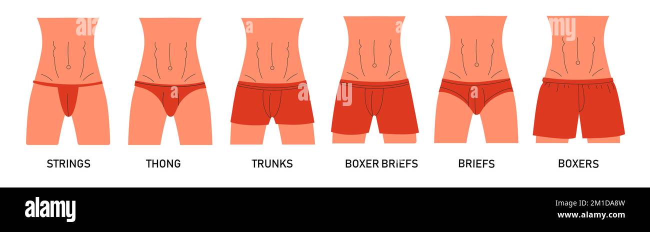Men underwear types. Man underpants infographic design elements, male model  wearing different underclothes boxers trunks briefs thong. Vector set Stock  Vector Image & Art - Alamy