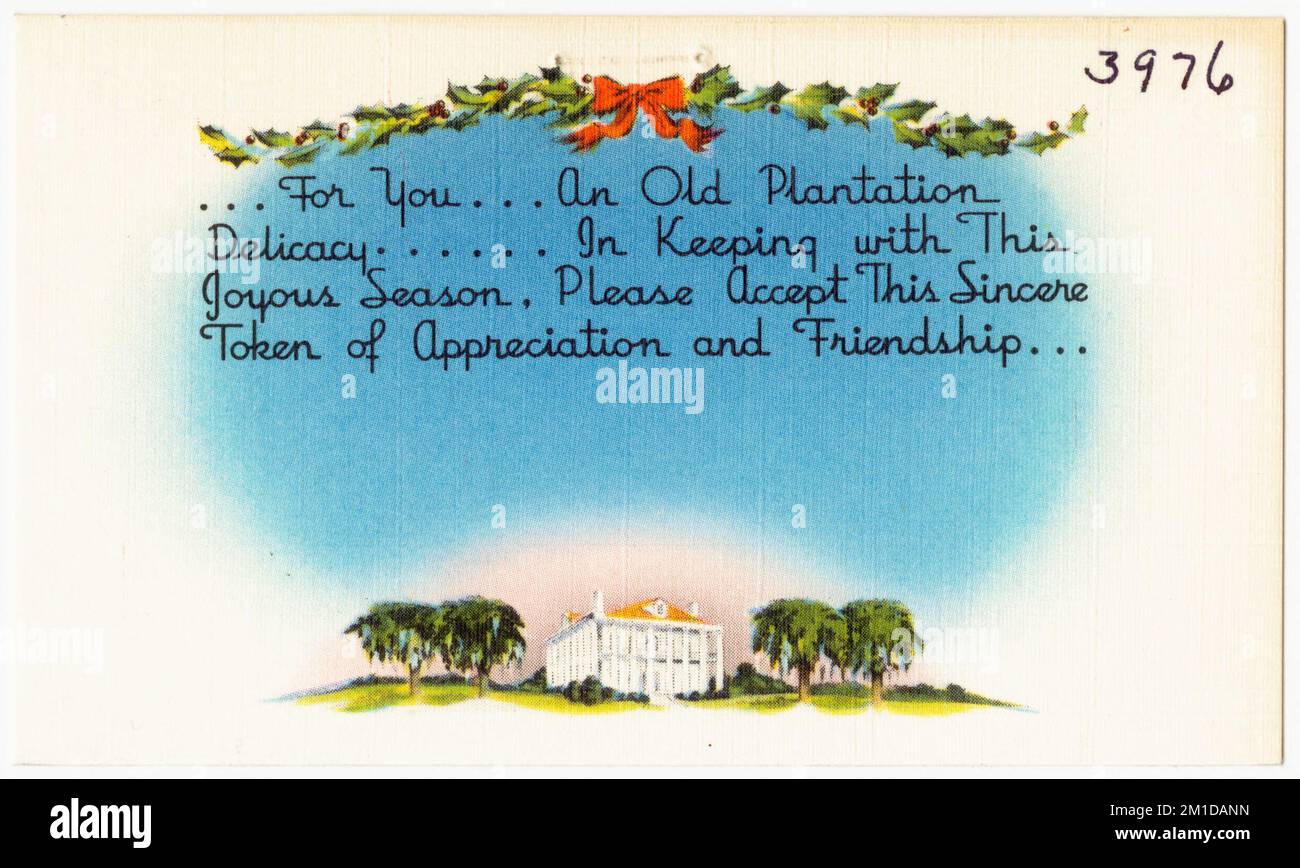 ... for you... an old plantation delicacy... in keeping with this joyous season, please accept this sincere token of appreciation and friendship... , Tichnor Brothers Collection, postcards of the United States Stock Photo