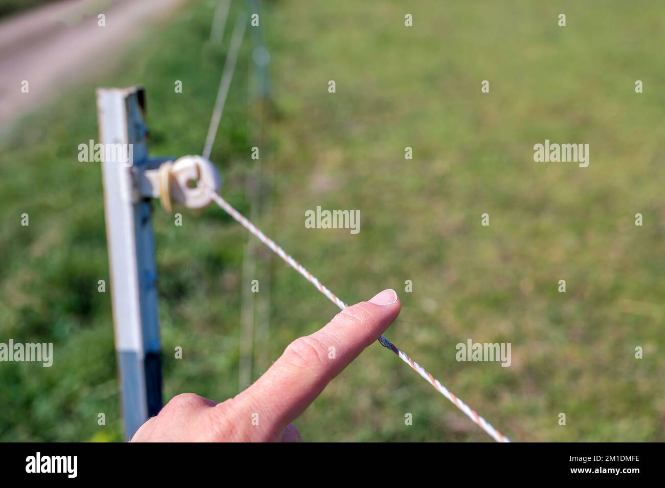 Touching an electric fence as a test or test of courage Stock Photo
