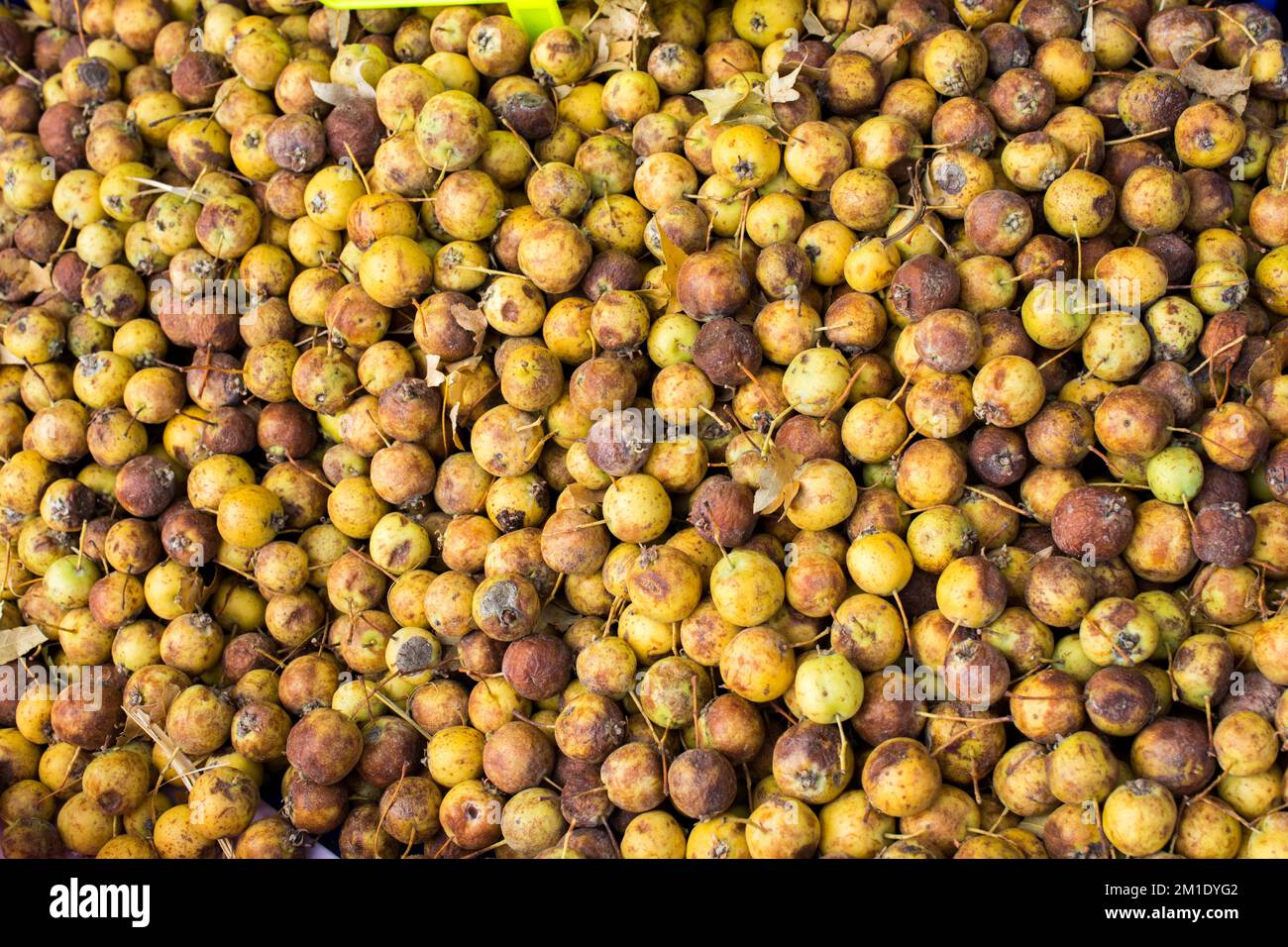 Azarole, mediterranean medlar picked up and sold in market Stock Photo