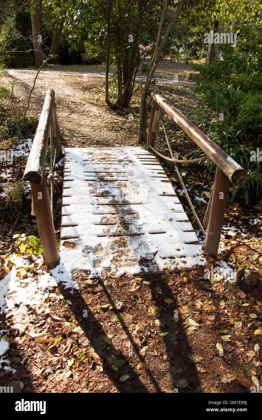 Small Forest Bridge Bridge in a forest hi-res stock photography and images - Alamy