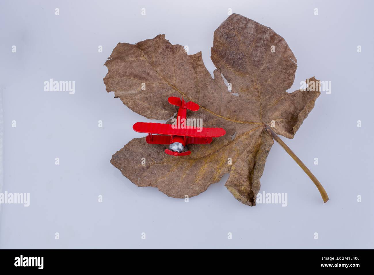 Little heart shape object placed on a dry leaf Stock Photo - Alamy