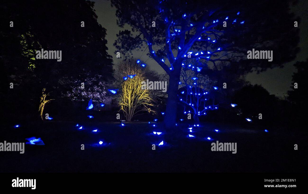 Kew gardens at christmas reviews
