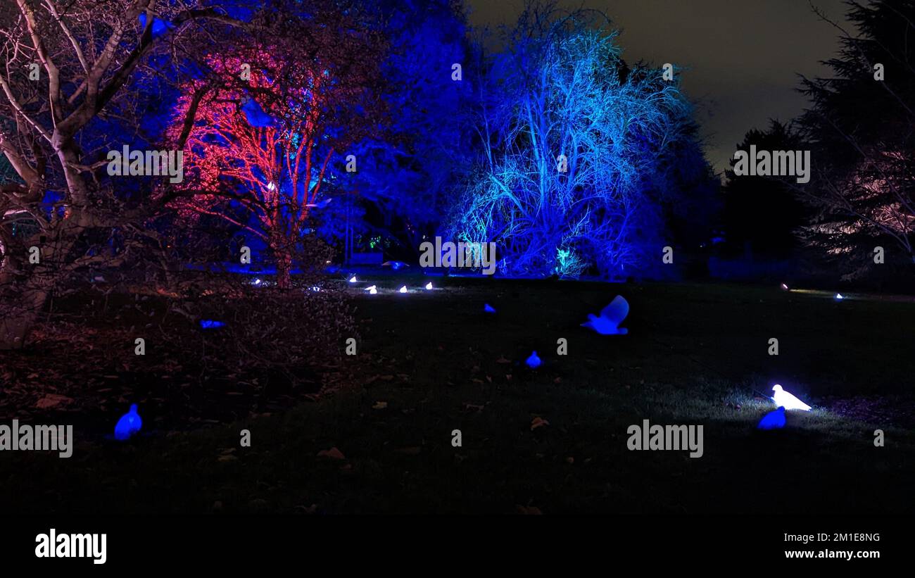 Christmas lights at Kew Gardens Stock Photo Alamy