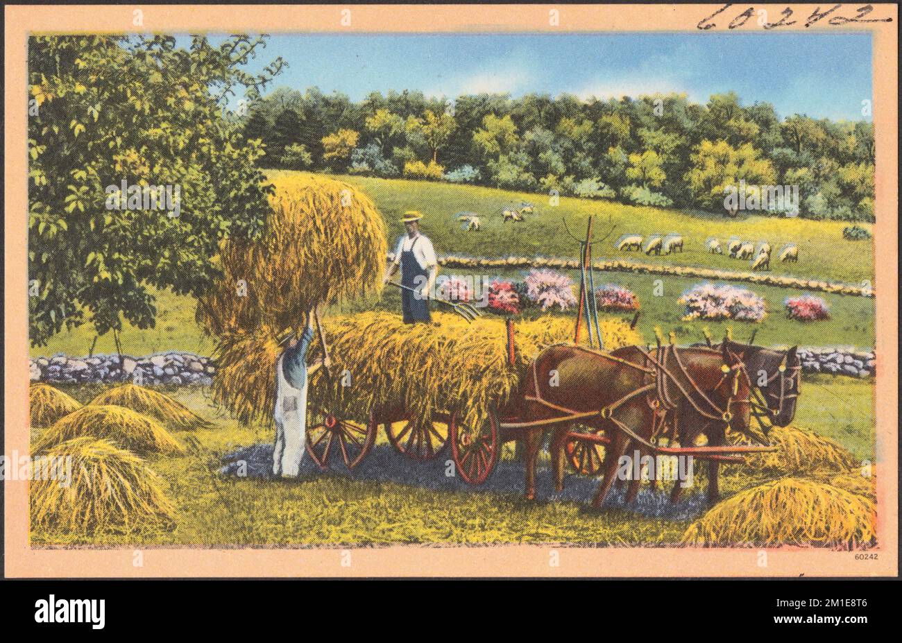 Harvesting hay onto a horsedrawn cart , Horses, Carts & wagons, Hay
