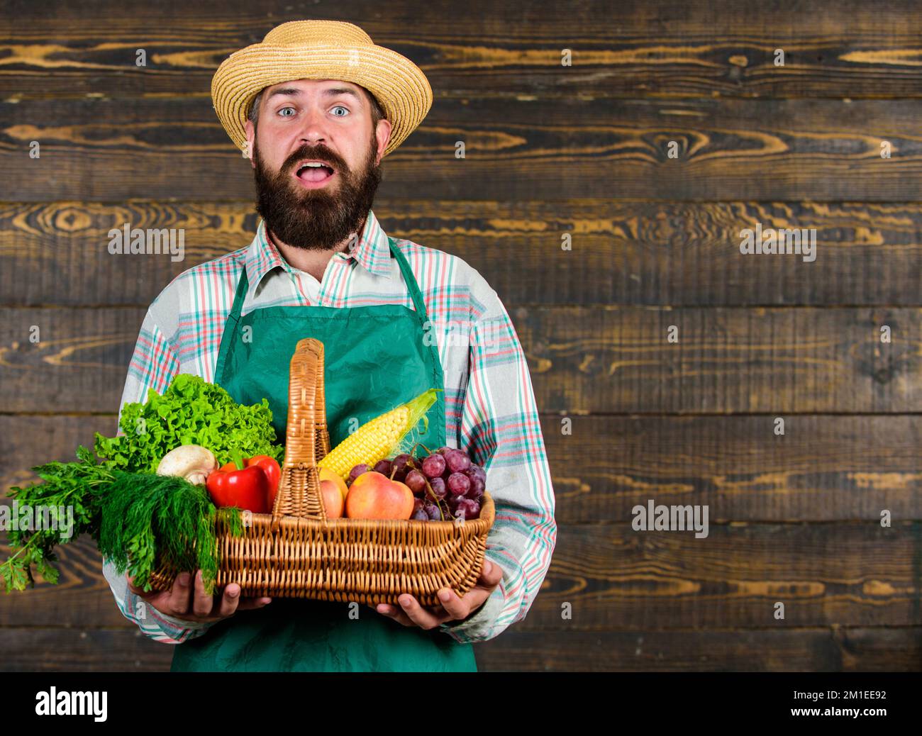 Man bearded farmer presenting eco vegetables wooden background. Fresh ...