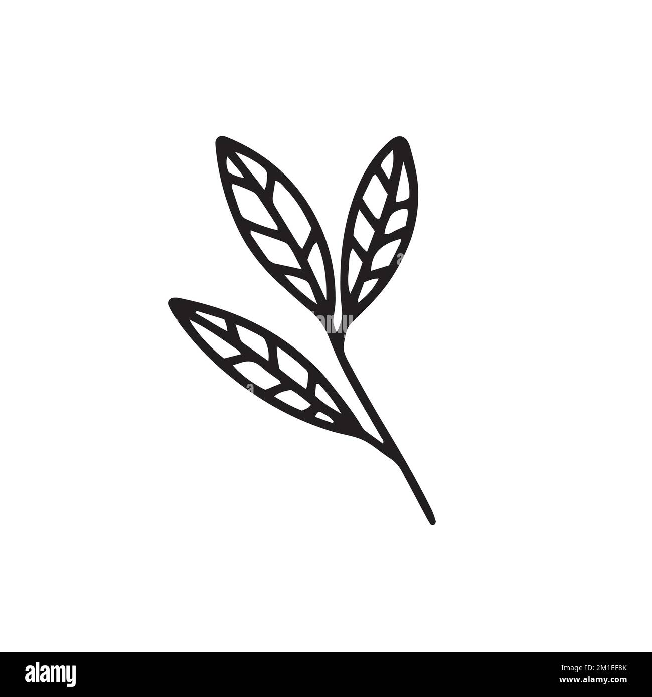 Hand drawn branch with leaves Stock Vector Image & Art - Alamy