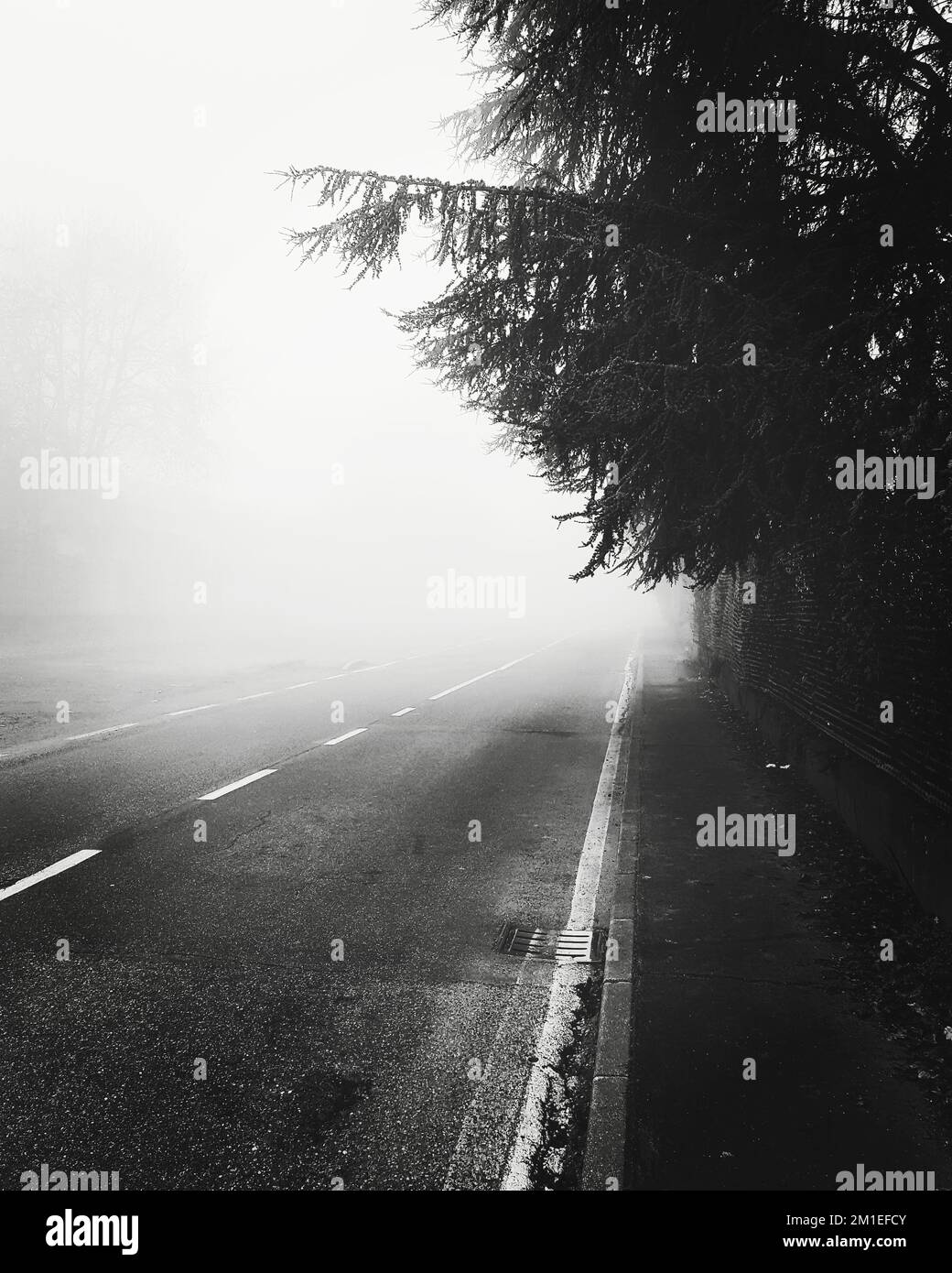 The fog that envelops a simple road Stock Photo - Alamy