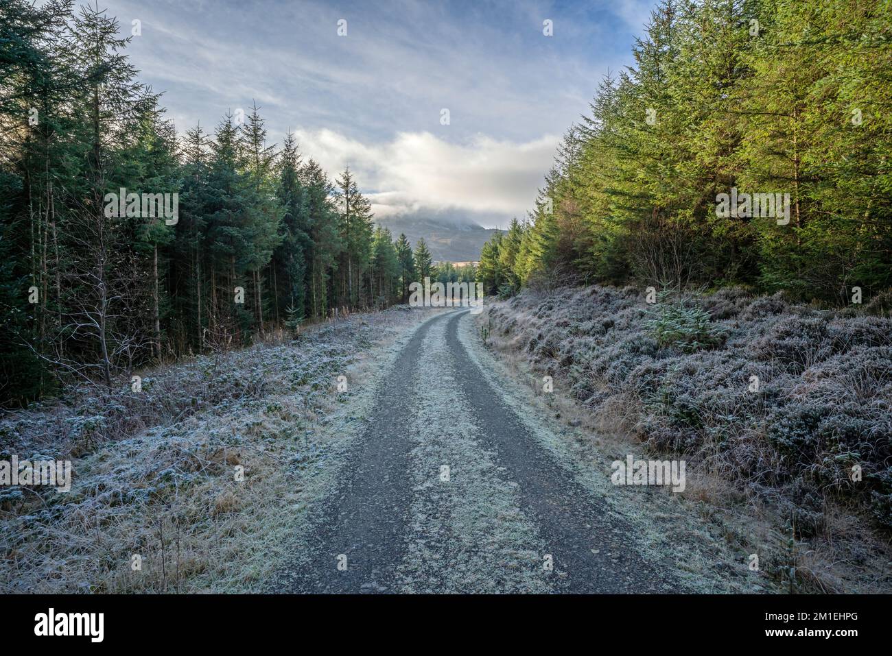 Frosty trail leading to the Rhinog mountains in Snowdonia Stock Photo ...