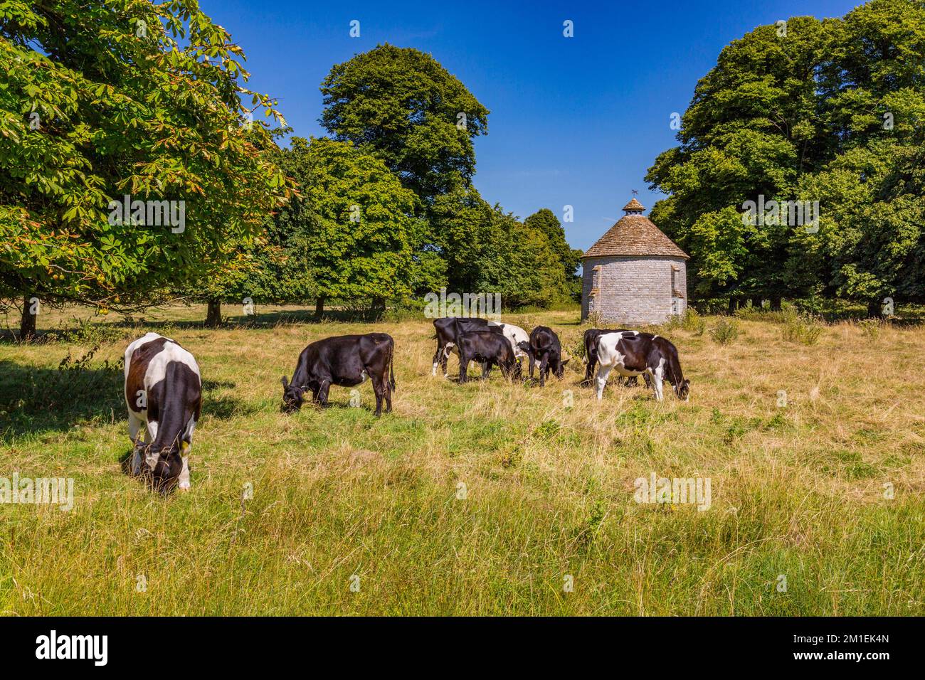 The distinctive circular stone dovecot at Lytes Cary Manor, nr Somerton