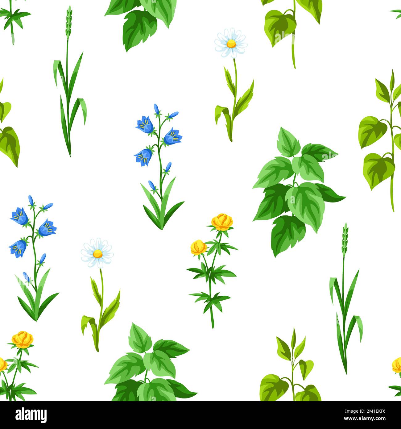 Seamless pattern with meadow flowers. Herbs and cereal grass. Beautiful ...