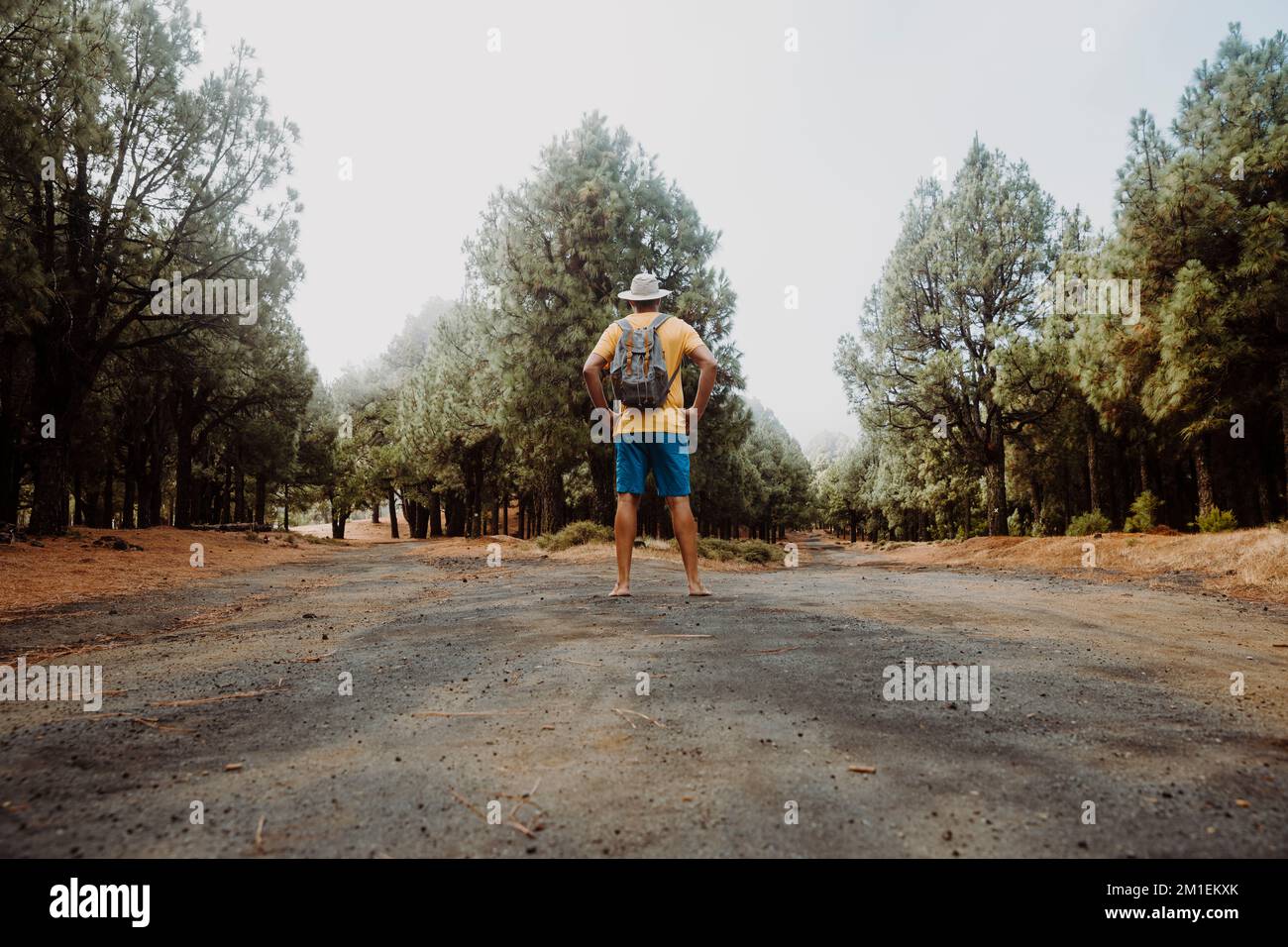 Hiker with short pants and without shoes stands in the forest and must decide whether he goes the right or left way Stock Photo