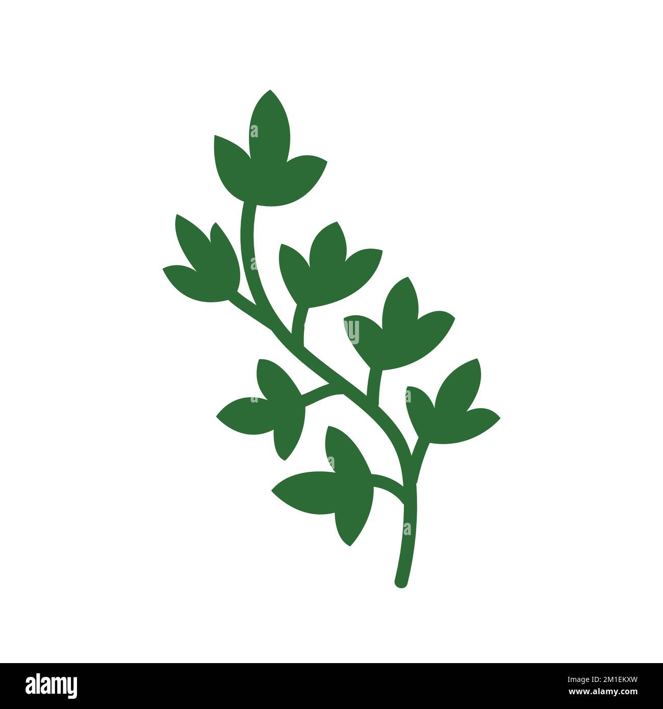 Vector pumkin branch with leaves Stock Vector