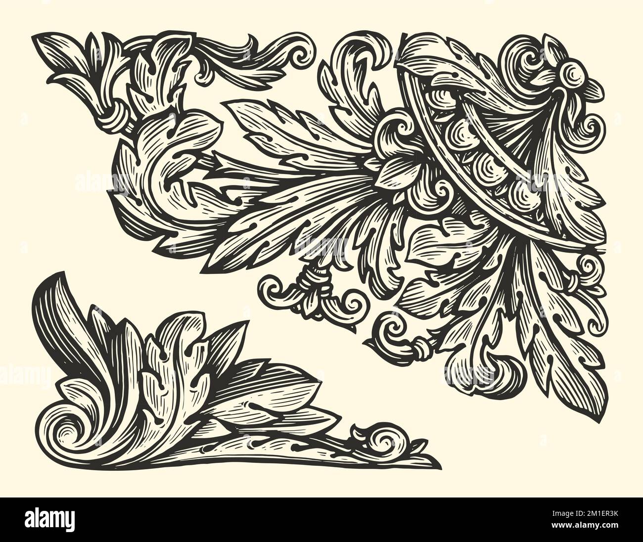 Decorative floral design elements. Ornate swirling floral motif. Pattern vector illustration in vintage engraving style Stock Vector