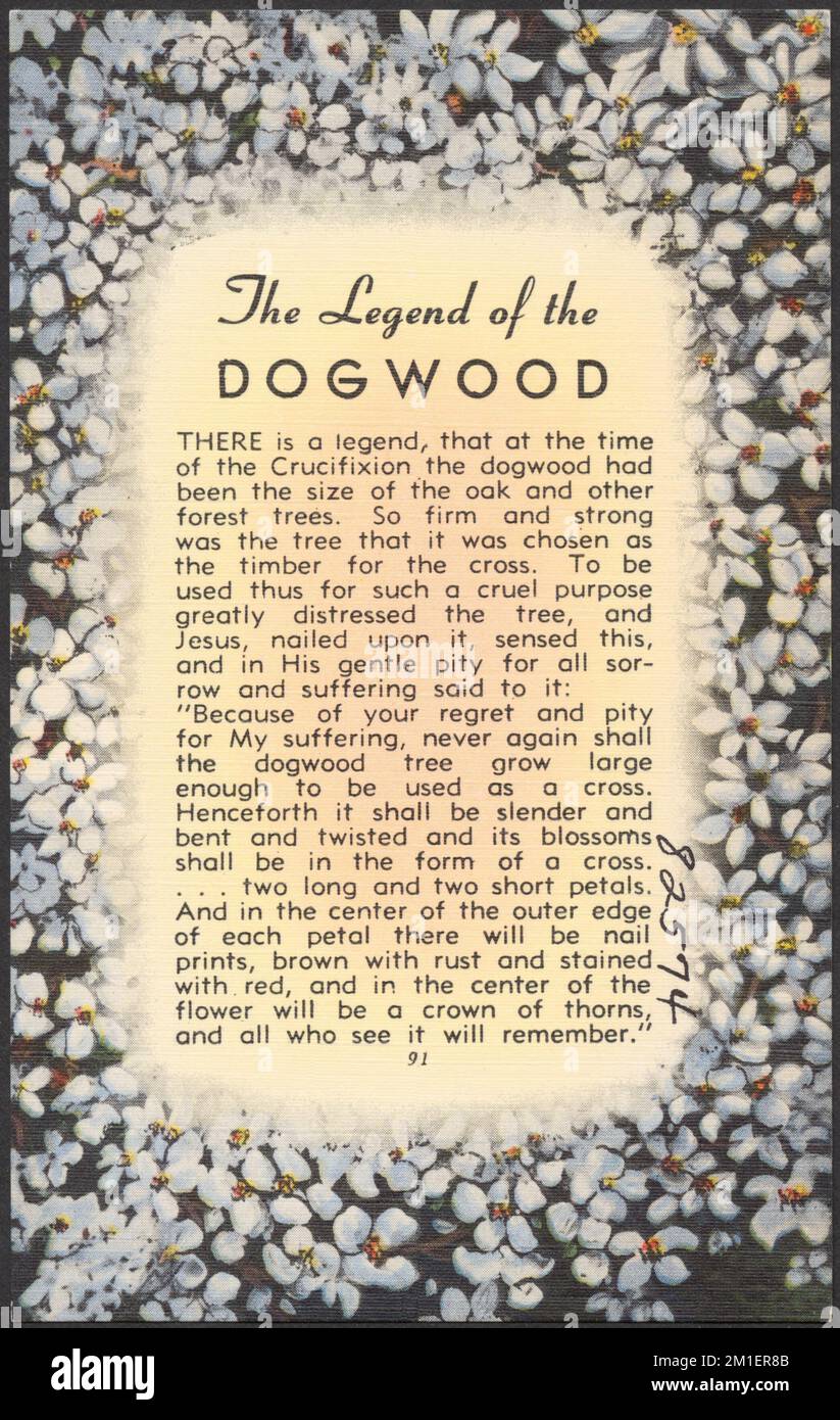 The legend of the dogwood , Dogwoods, Jesus Christ, Tichnor