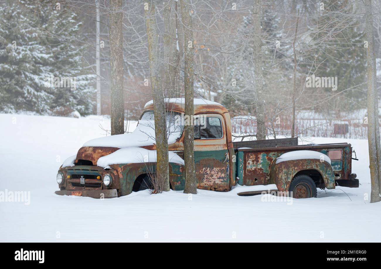 A rusted 1954 International Harvester R-120 pickup parked between trees in winter Stock Photo