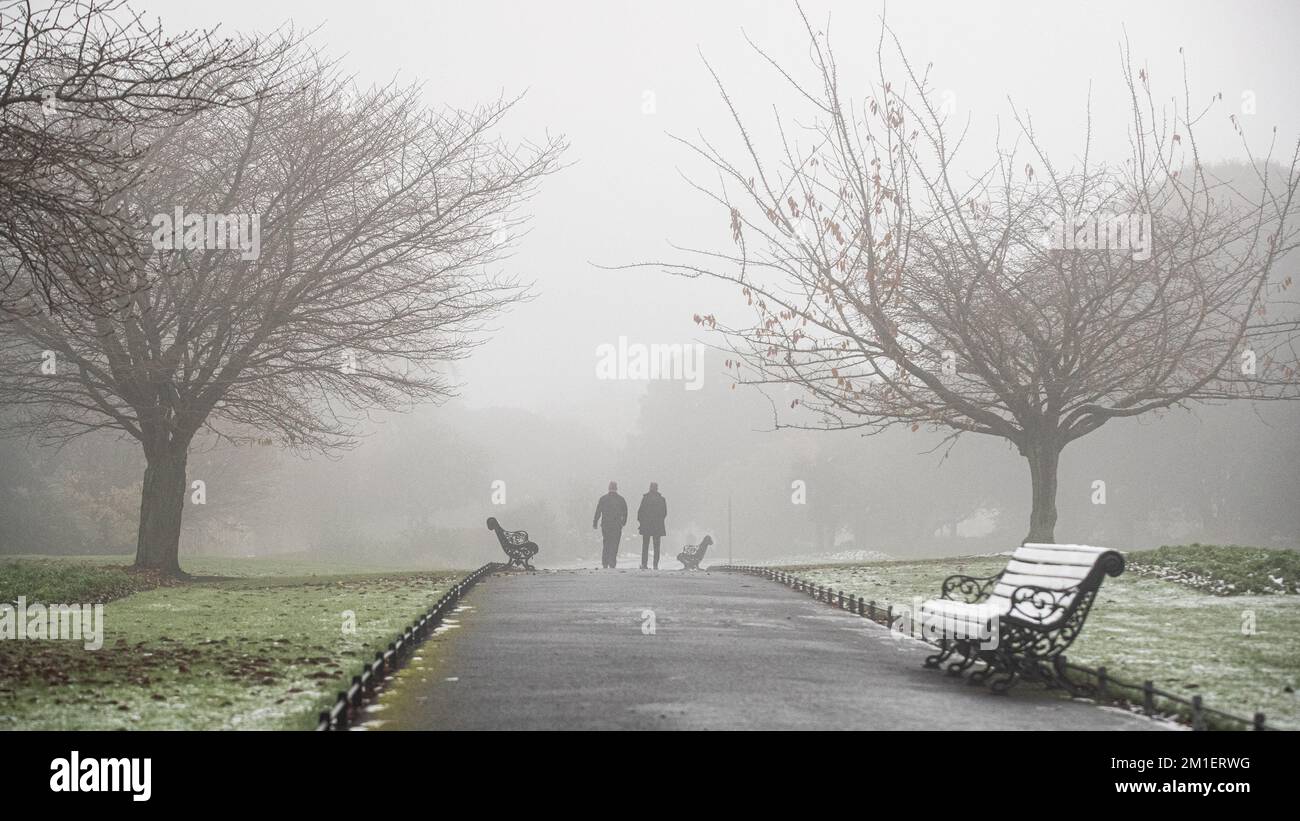 Foggy conditions in Phoenix Park, Dublin, as the Irish Met office