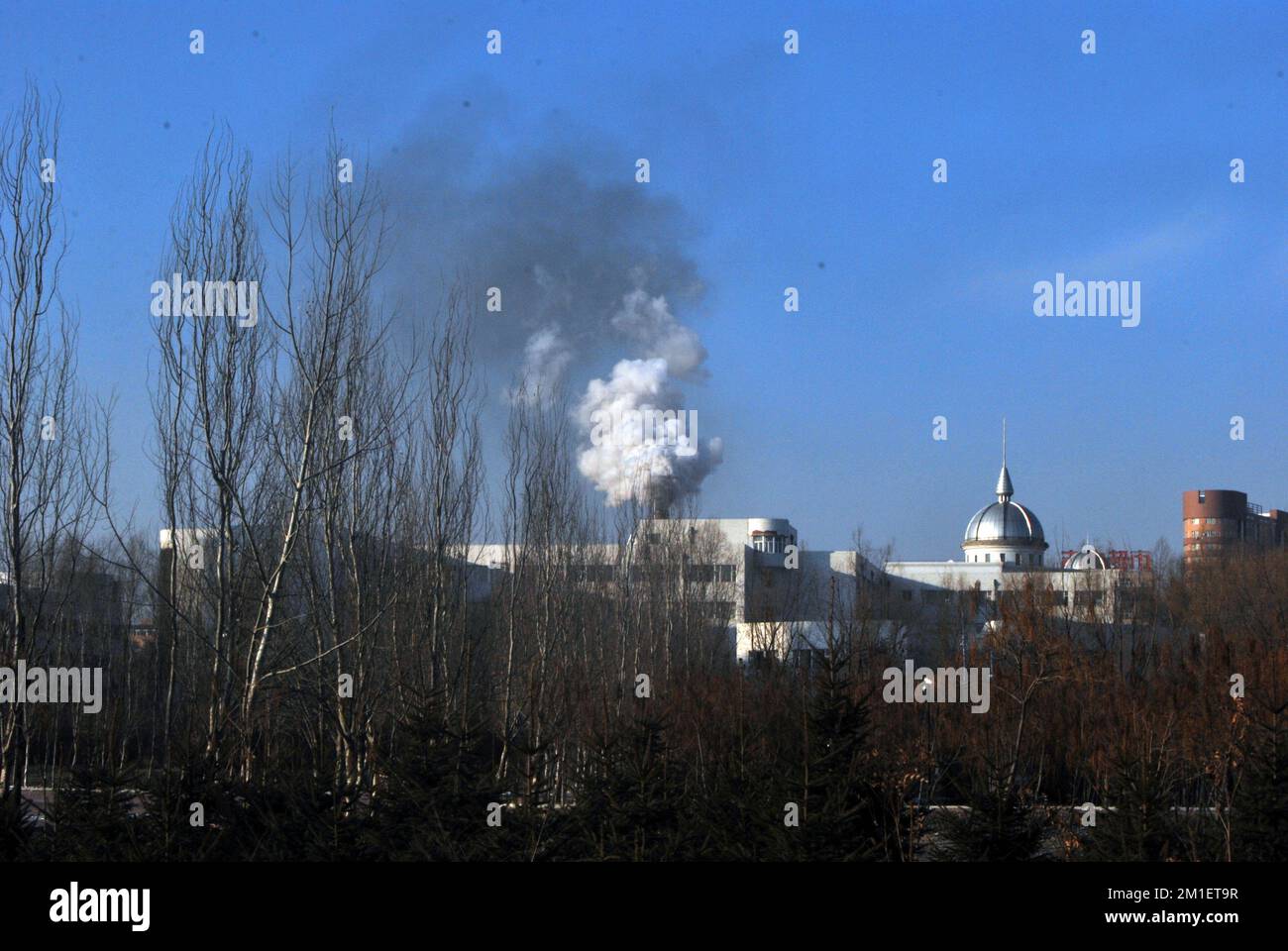 An exterior shot of a factory smoke coming out of the chimney with trees in the foreground Stock Photo