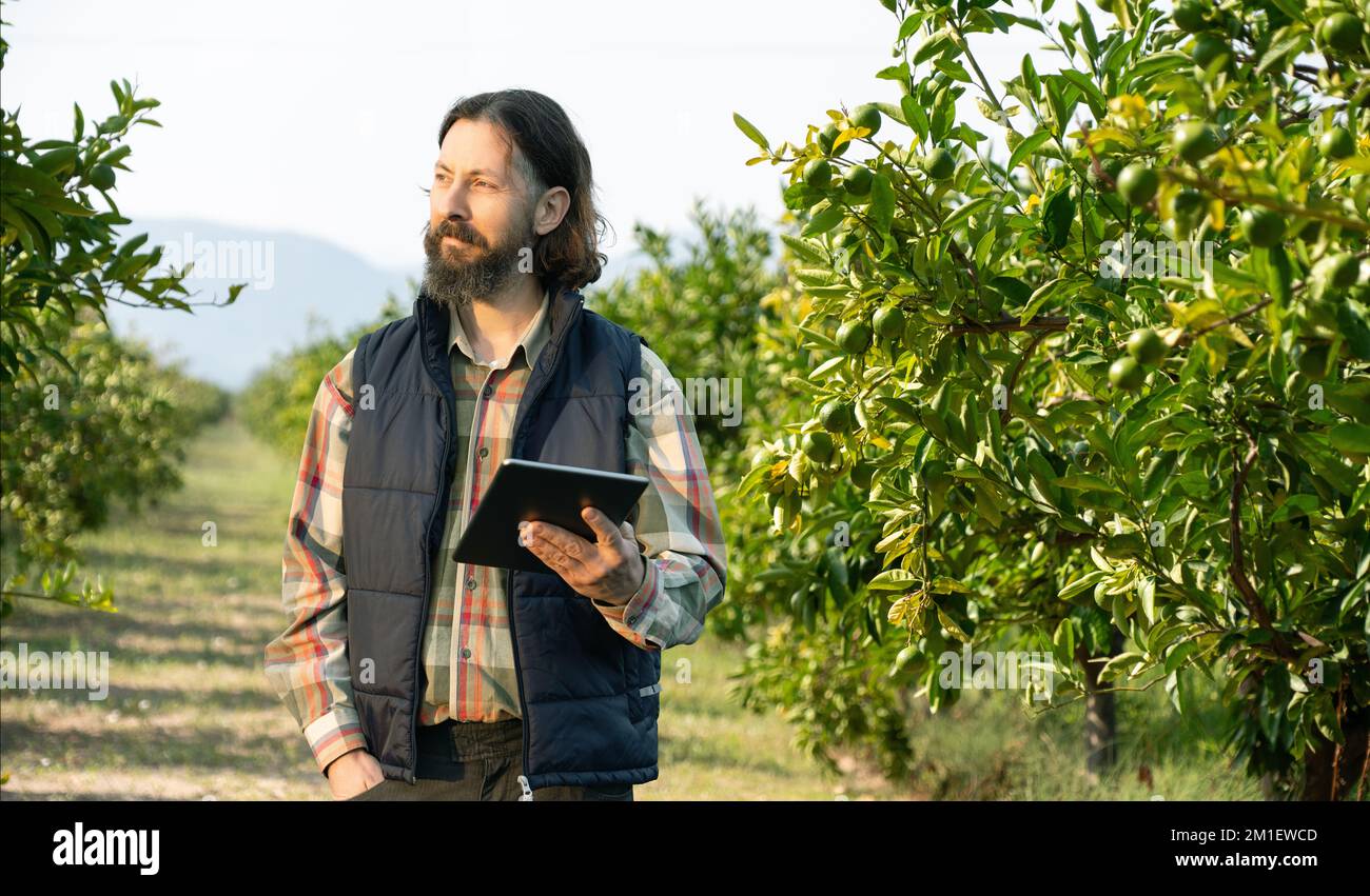 Farmer examines the garden of fruits and sends data to the cloud from the tablet. Smart farming and digital agriculture Stock Photo