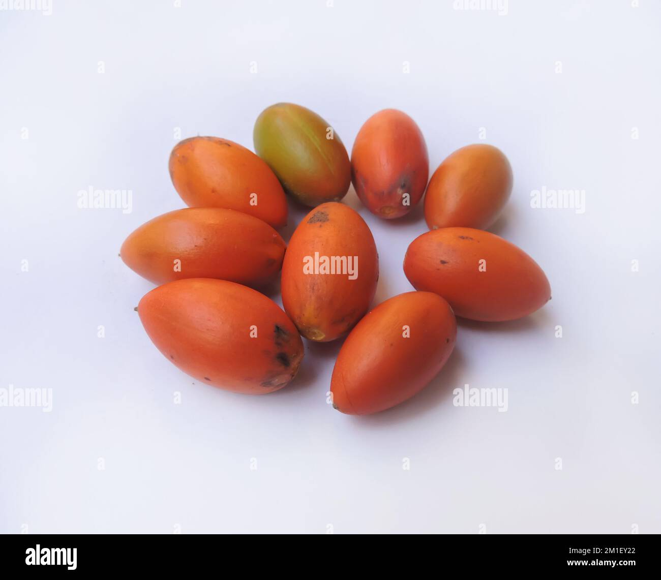 Spanish cherry, medlar or bullet wood. The fruit is edible and it is