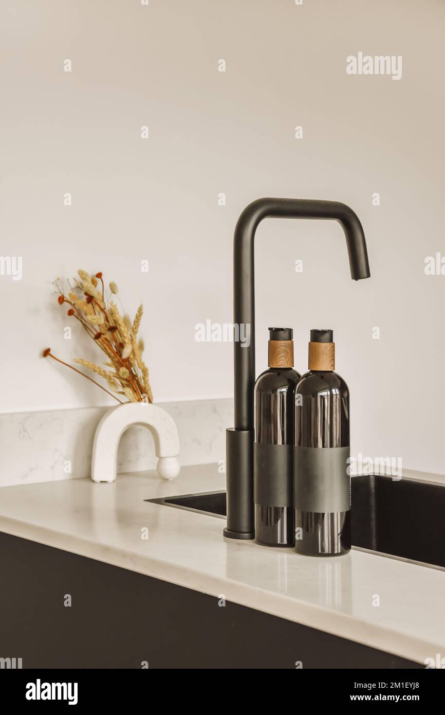 a kitchen sink with two faucets and a vase on the counter next to it in front of a white wall Stock Photo