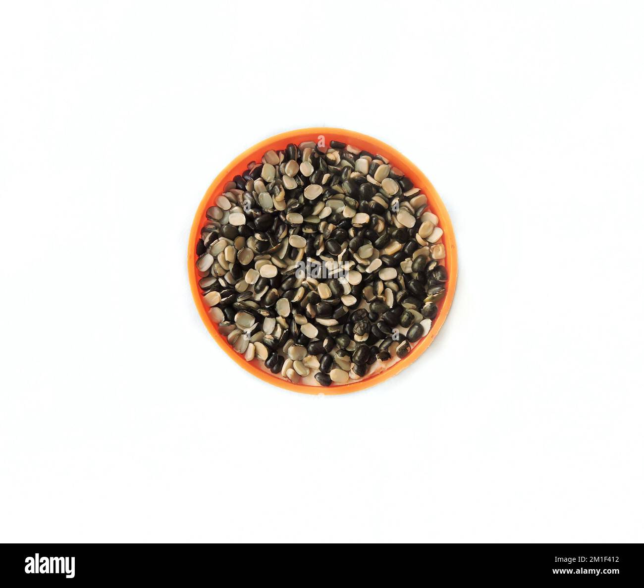 Black Gram is a bean grown widely in Indian Subcontinent. Scientific