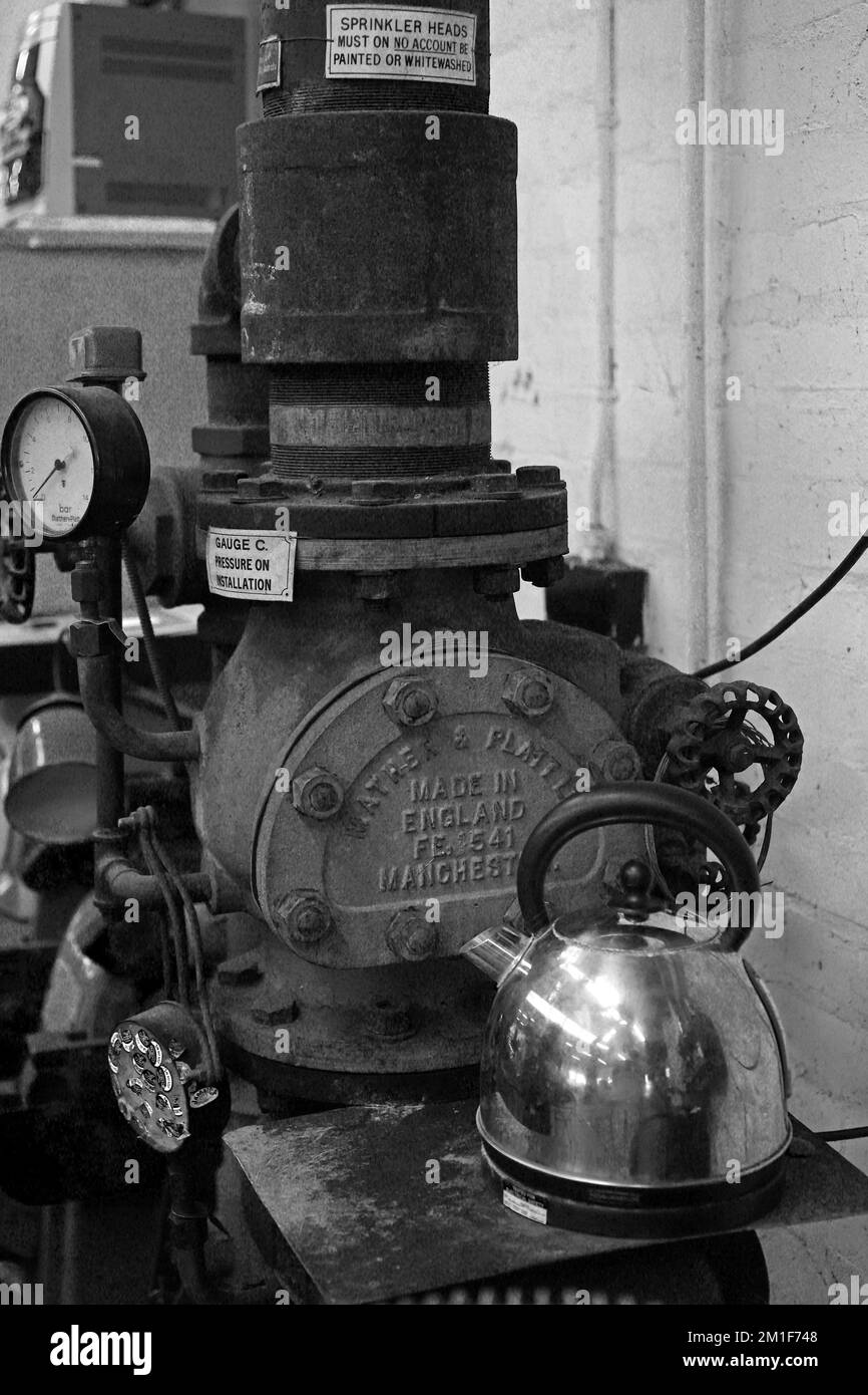 brooks spring saddle