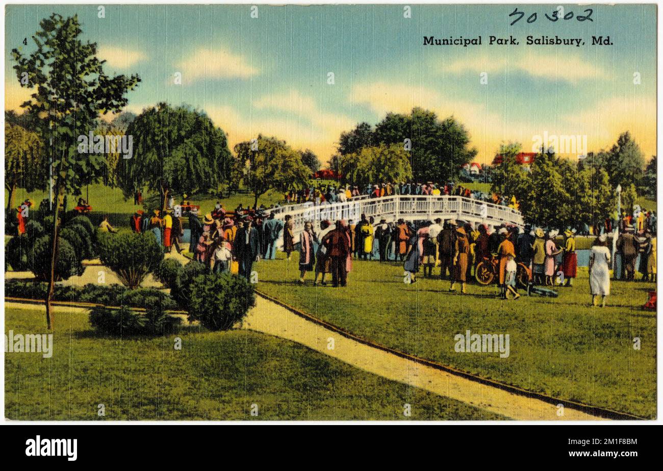 Municipal Park, Salisbury, Md. , Parks, Bridges, Tichnor Brothers