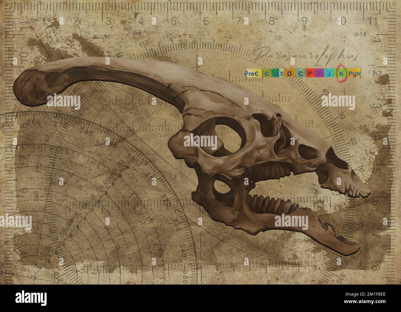 Parasaurolophus Dinosaur Skull Art Study Old Textured Paper Vintage Geometrical Antique Poster Stock Photo