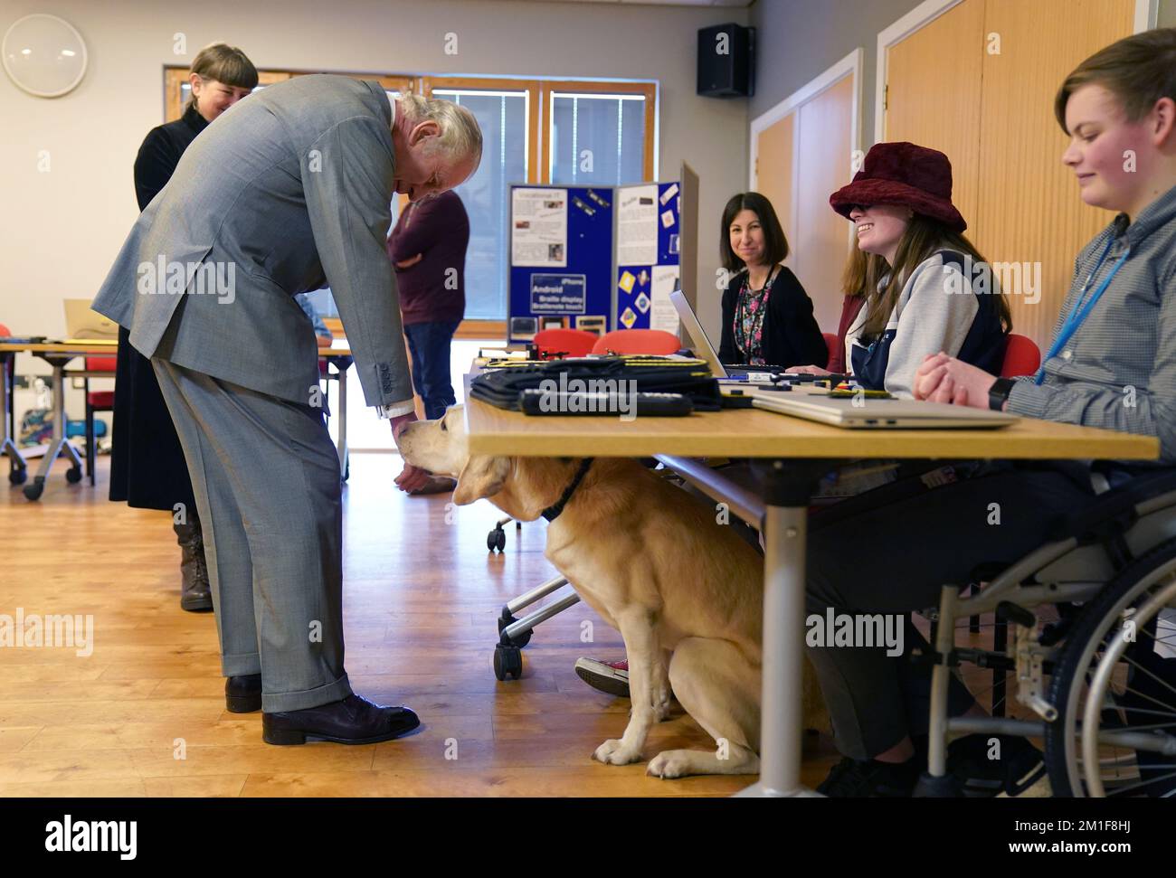 Guide dog dog harness hi-res stock photography and images - Alamy