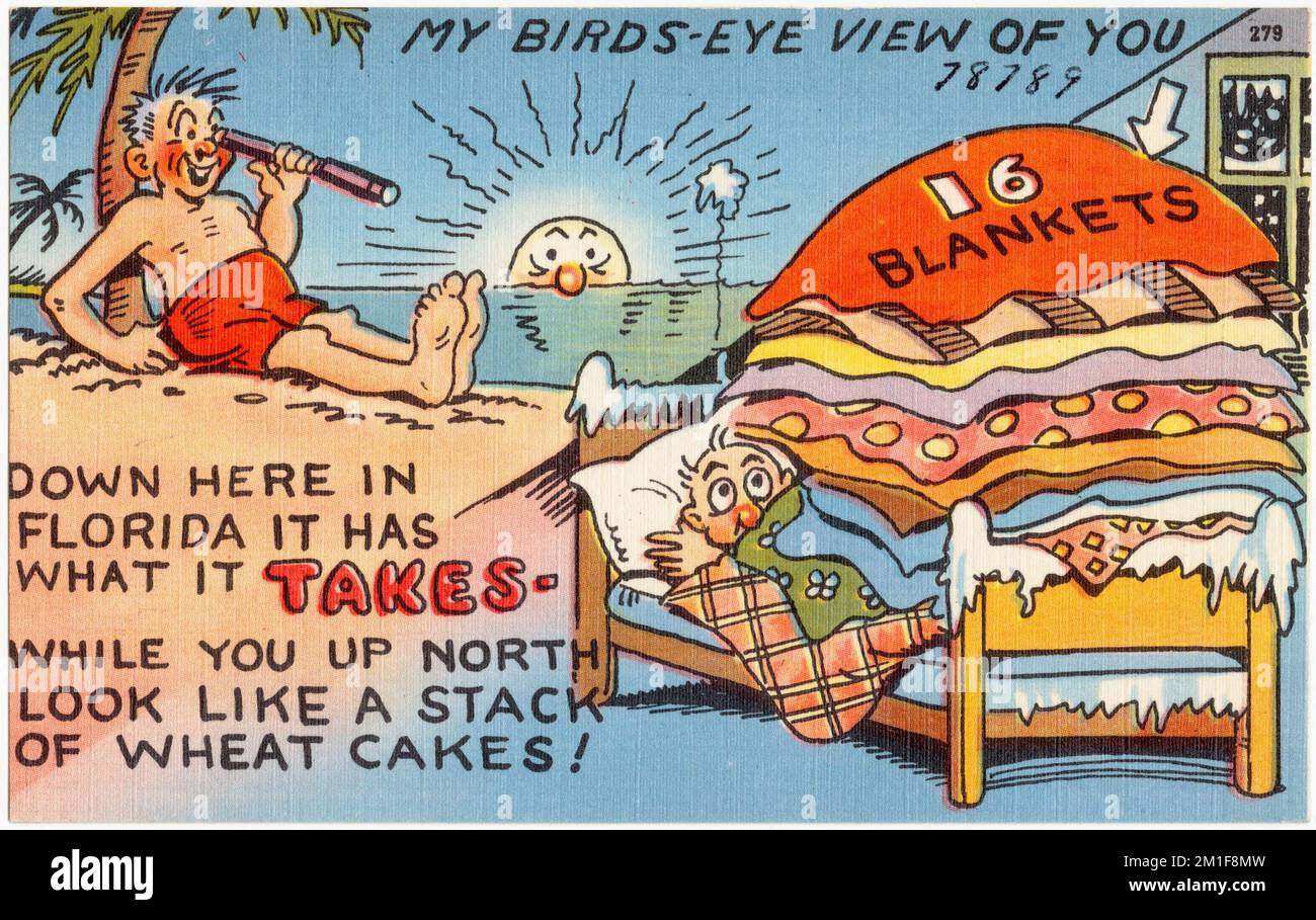 Warm climate birds Cut Out Stock Images & Pictures - Alamy