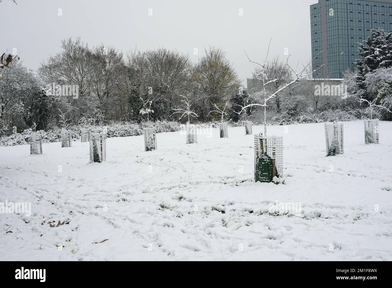 A snowcovered Montrose Pk on the 12122022, in London, England, U.K Stock Photo Alamy