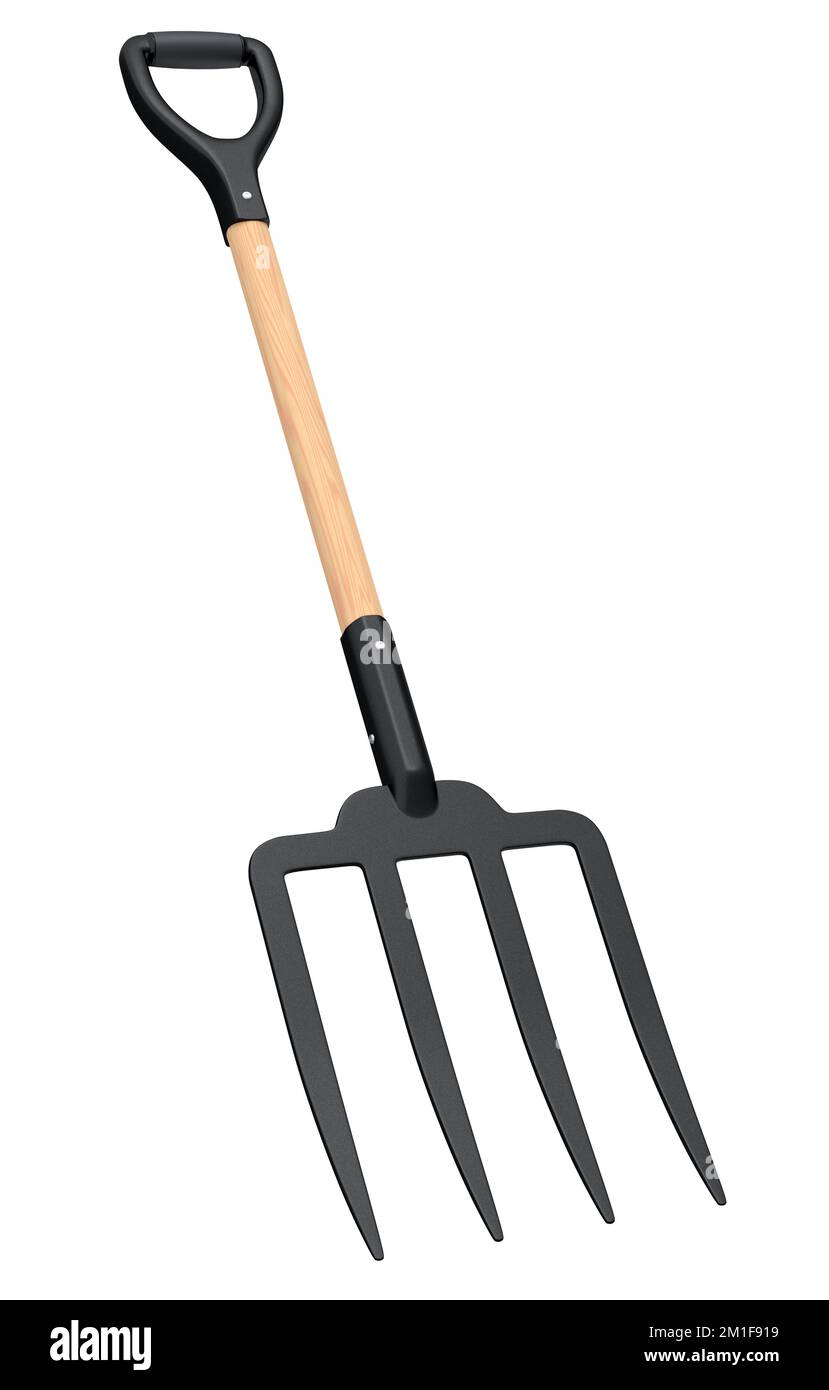 Garden pitchfork with wooden handle for harvesting hay isolated on