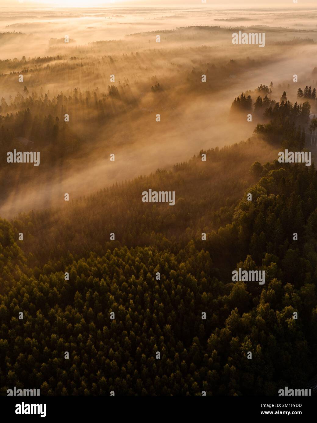 Aerial view misty forest sun hi-res stock photography and images - Alamy