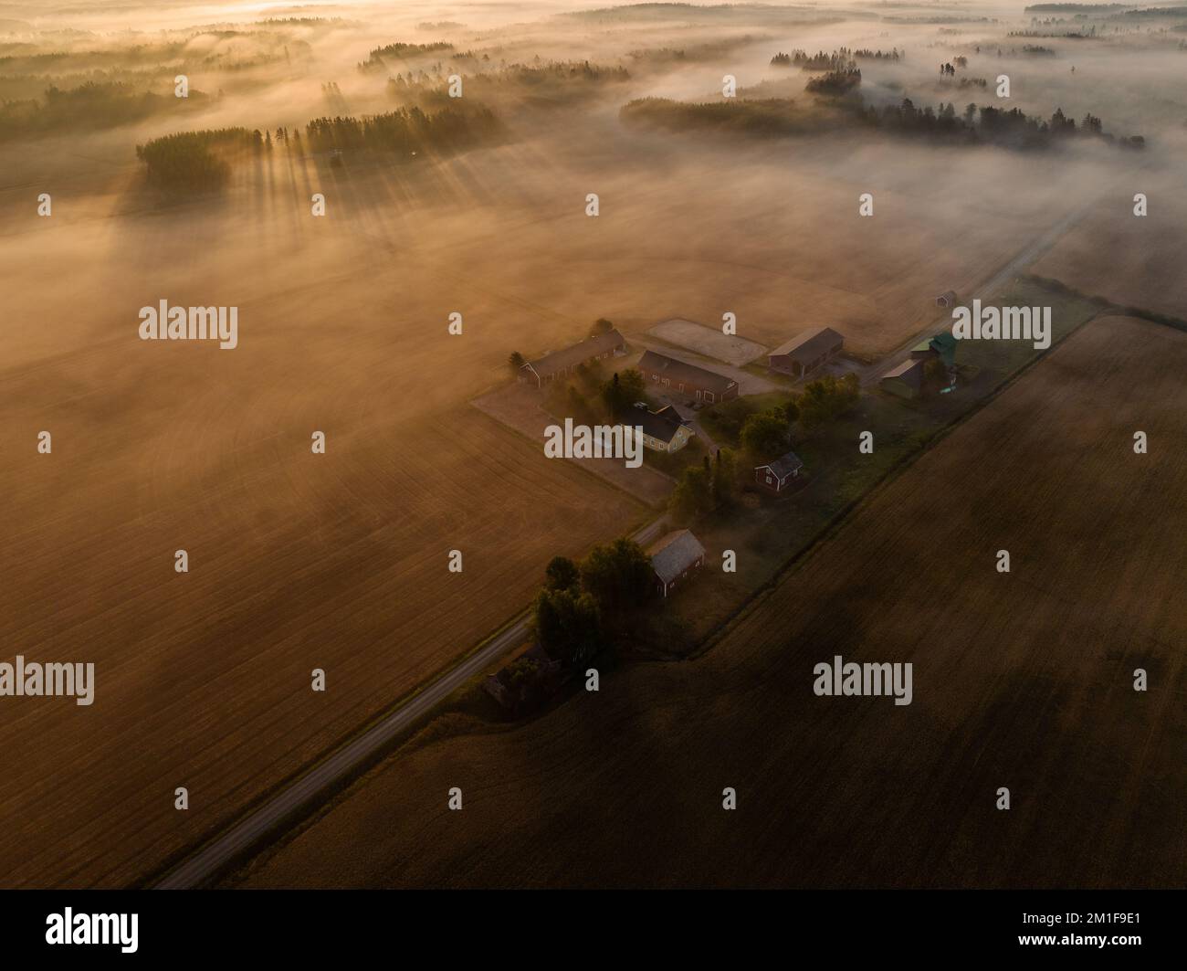 An aerial view of a foggy forest in the countryside during sunrise ...