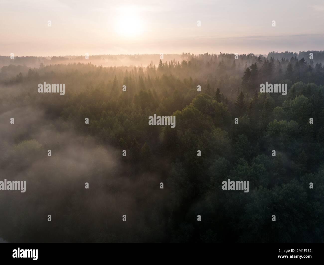 An aerial view of a foggy forest in the countryside during sunrise ...