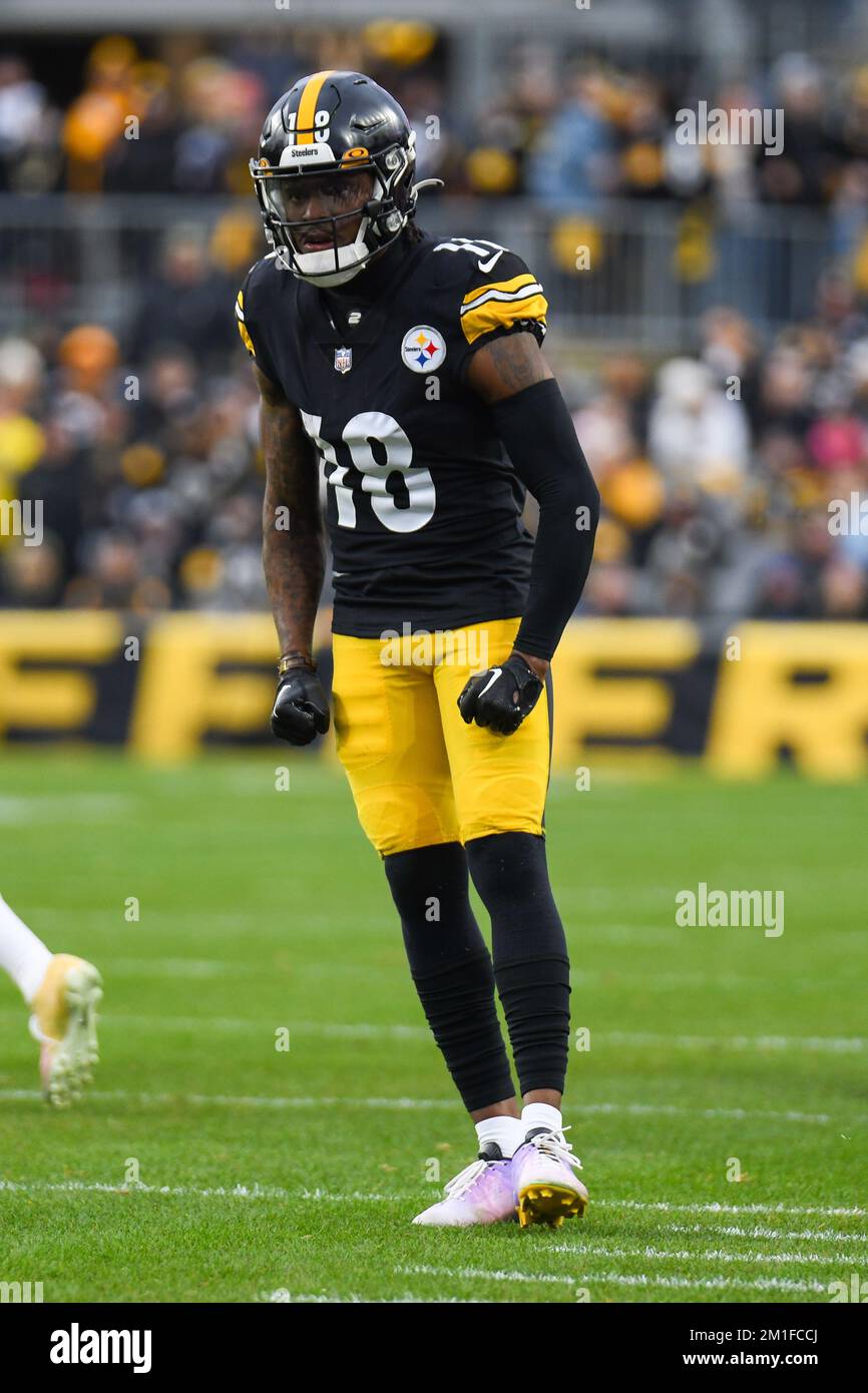 December 18, 2022: Pittsburgh Steelers running back Najee Harris (22) is  stop short of the end zone by Carolina Panthers safety Jeremy Chinn (21)  during the second half of the NFL matchup