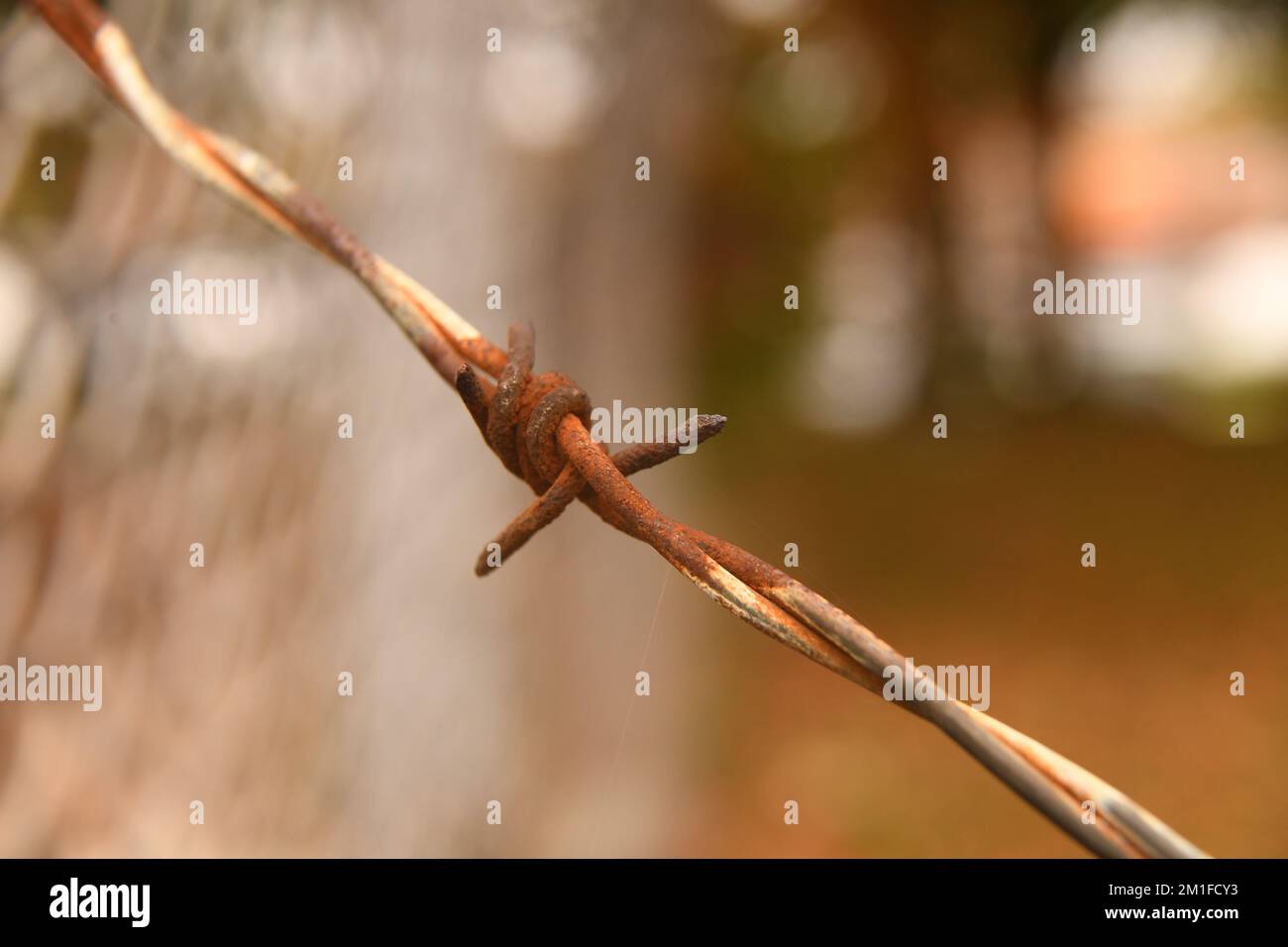 A closeup of a link of a rusty barbed wire fence Stock Photo - Alamy